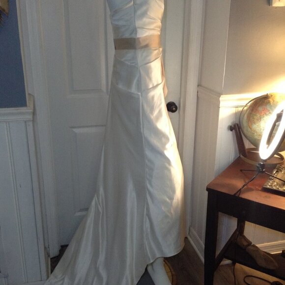 David's Bridal "8" Strapless Wedding Gown; Satin, Traditional Chic, Quiet Luxury - Picture 4 of 6